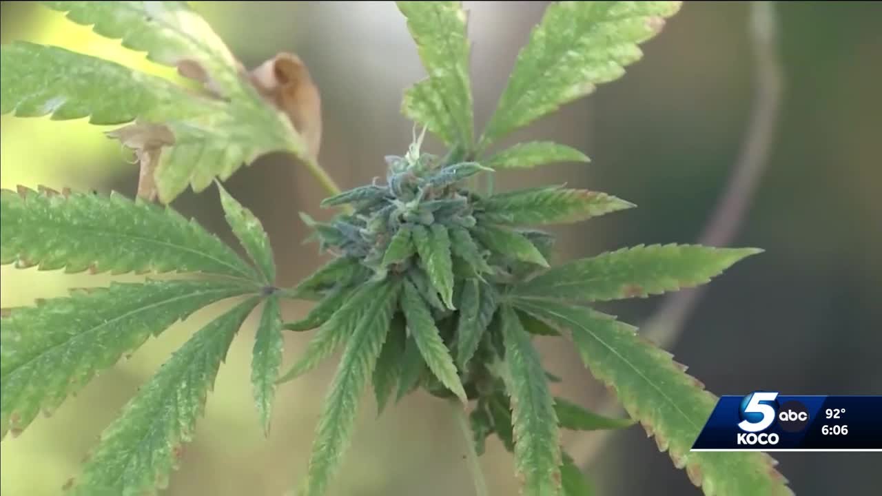 Oklahoma police chiefs oppose recreational marijuana legalization