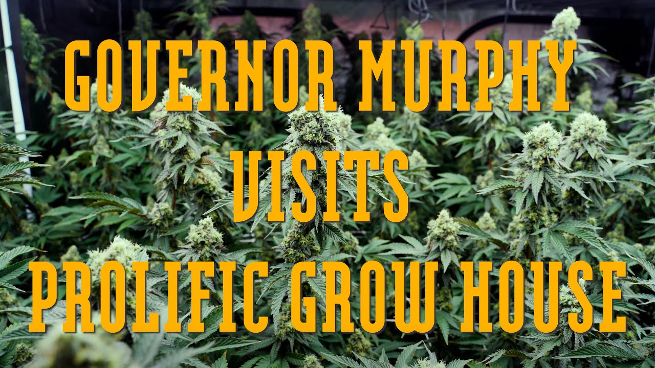Governor Murphy Visits a Marijuana Grow House