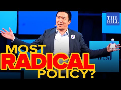 Exclusive Andrew Yang Interview: Is this his most radical policy?