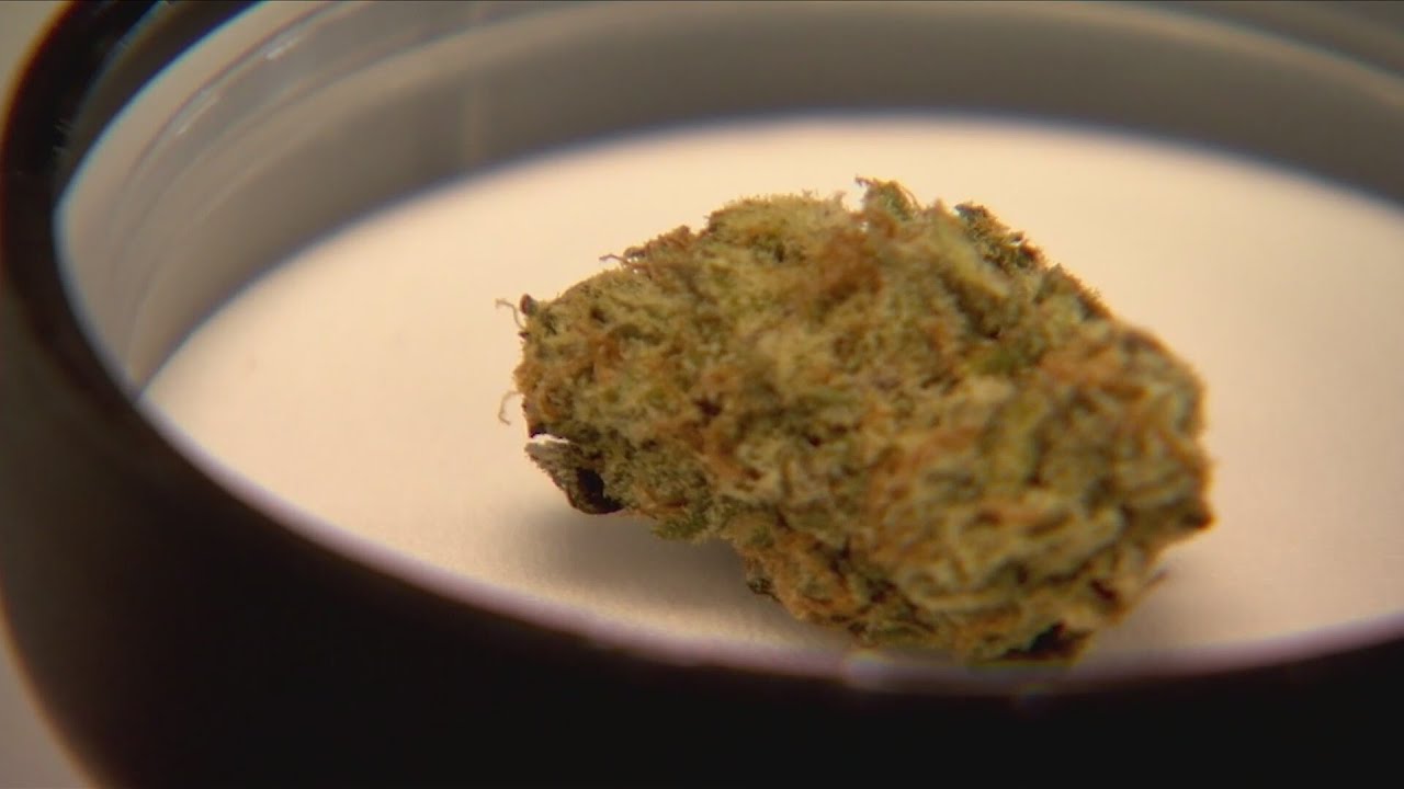 Louisiana lawmaker looking to create marijuana pilot program
