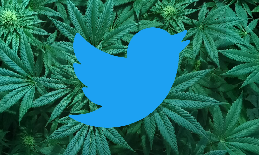 Twitter Partners With Feds On Campaign Flagging Marijuana Searches While Giving Alcohol A Pass Marijuana Moment