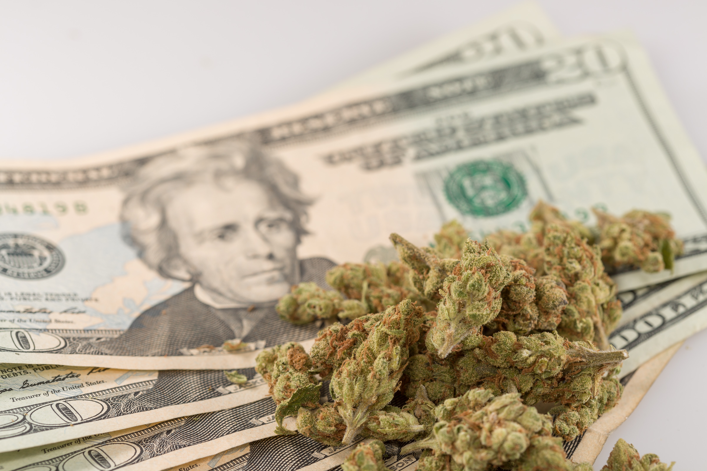 Federal Financial Regulator Talks Marijuana Industry's 'Bright Future' And  Need For Banking Access - Marijuana Moment