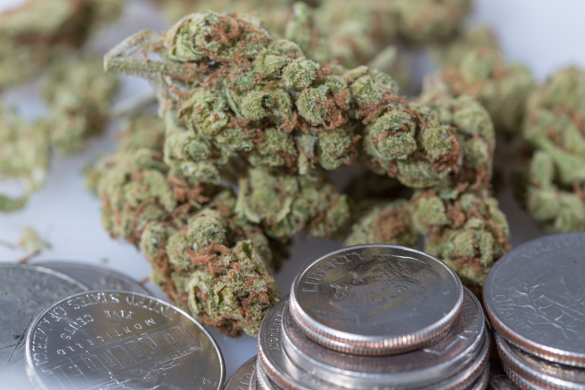 Legal Marijuana States Have Generated Nearly $8 Billion In Tax Revenue Since Recreational Sales Launched, Report Finds