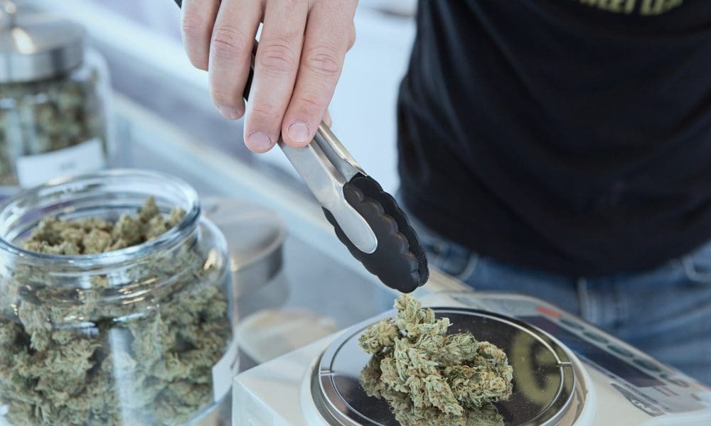 photo of Arizona Medical Marijuana Sales Continue To Drop As Recreational Purchases Grow image