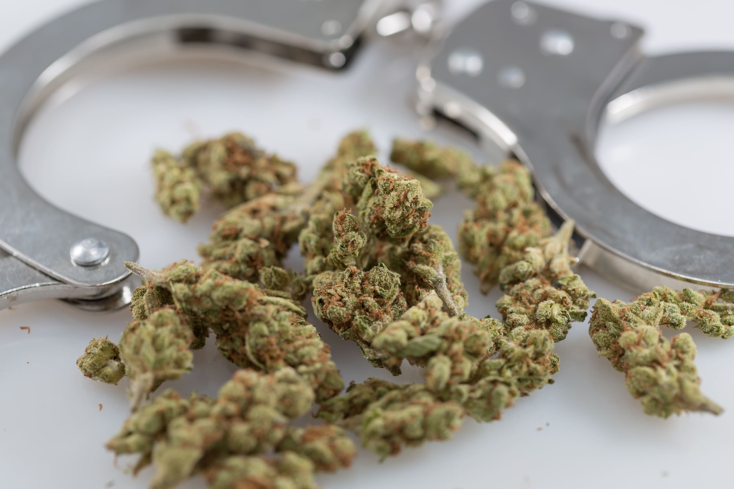 Marijuana Arrests Decline Nationally For First Time In Four Years, FBI Data Shows