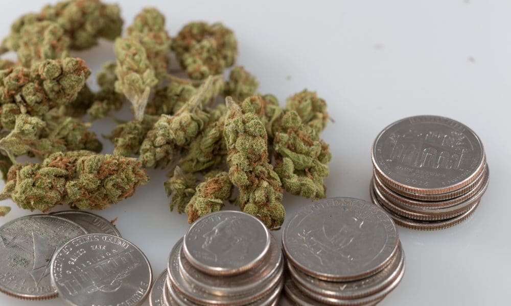 Community Banks From 44 States Demand Congress Urgently Pass Marijuana Financial Services Fix