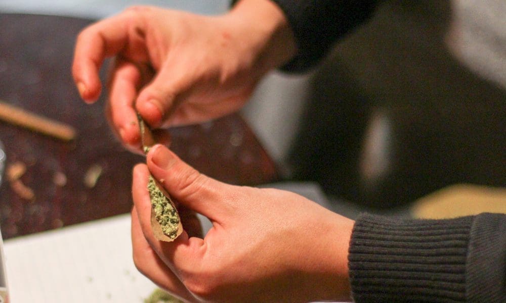 photo of Young People Who Use Marijuana Have Better Orgasms and Sexual Function, Study Says image