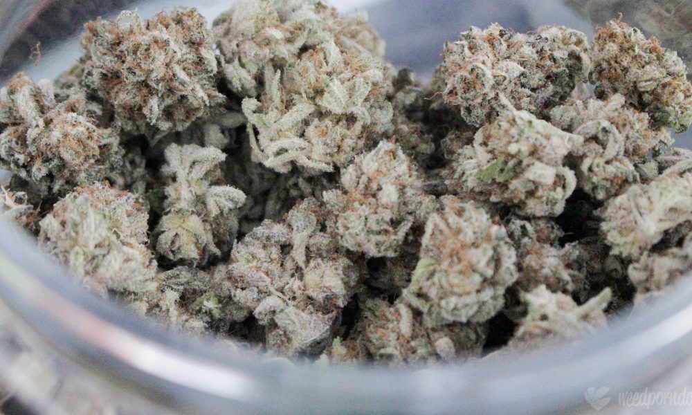 Minnesota Marijuana Regulators Ask Lawmakers To Fix Loophole That Allows High-THC Raw Cannabis To Be Sold As Legal Hemp