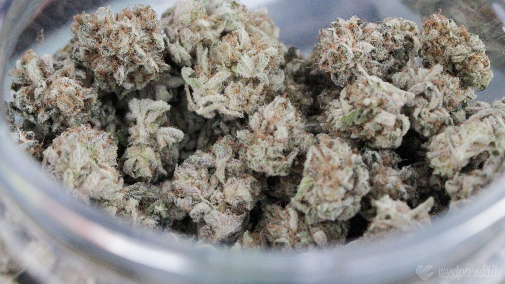 Legal Marijuana Helps Reduce Opioid Harms, Two More New Studies Reveal
