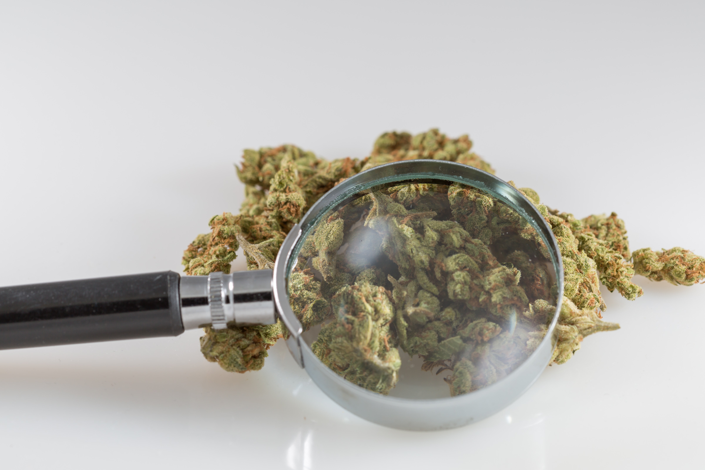 Surgeon General Says Marijuana’s Schedule I Status Hinders Research