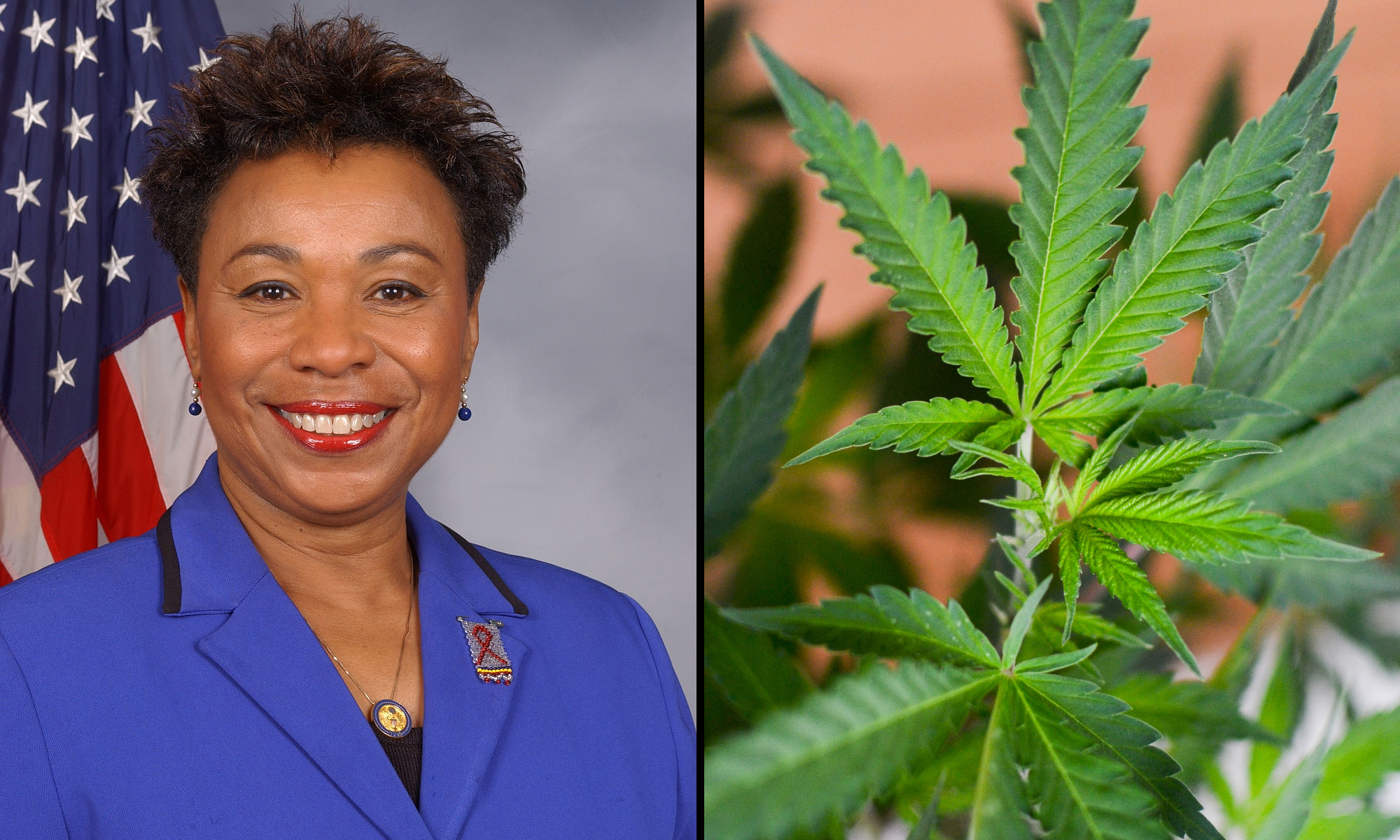 Legalizing Marijuana Is No Joke, And Congresswoman Barbara Lee Explains Why  - Marijuana Moment