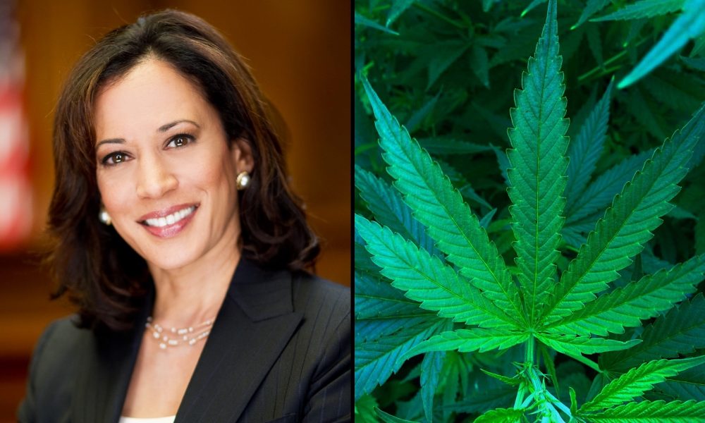 VP Kamala Harris Touts Marijuana Pardons In Pitch To Black And Young Voters, Saying ‘Nobody’ Should Be Jailed For ‘Smoking Weed’