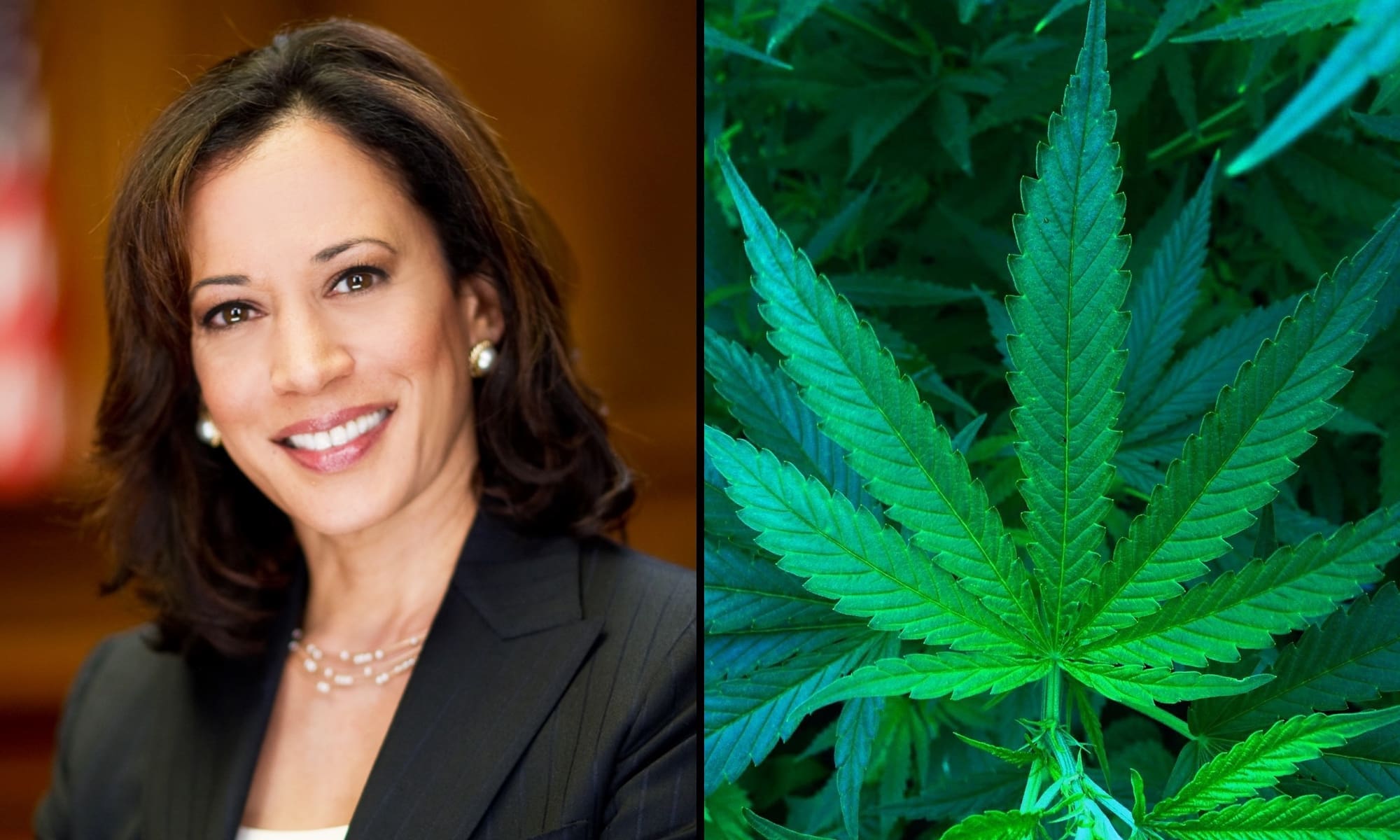 kamala-harris-marijuana.jpg