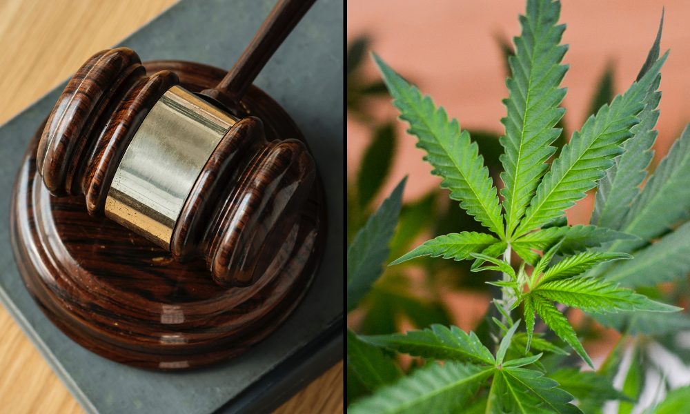 Federal Judge Denies Hemp Businesses’ Effort To Block Virginia’s Strict Cannabinoid Product Law