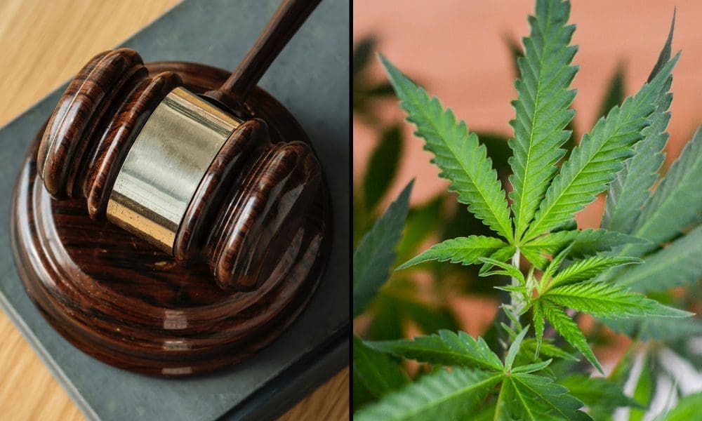 Nevada Supreme Court Rules Employees May Sue Employers for Failure to  Accommodate Medical Marijuana Use