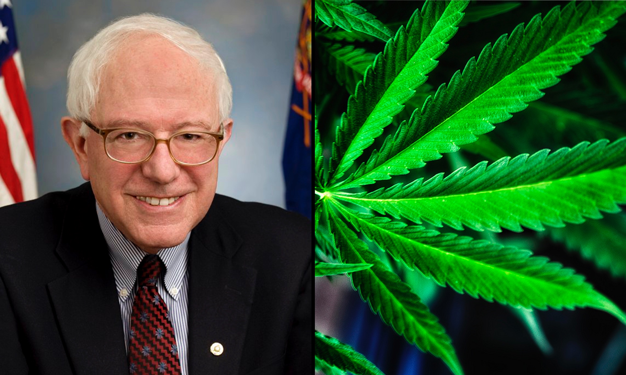 Bernie Sanders ‘Worries’ About Teen Enthusiasm For Marijuana Legalization When Asked About Reform At High School Event
