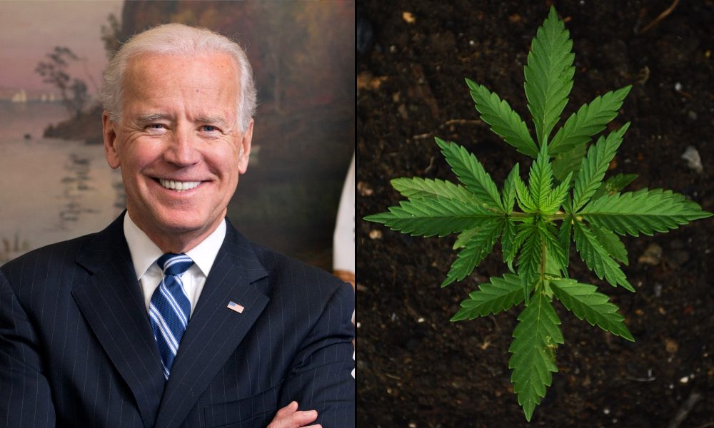 Six Governors Push Biden To Ensure Marijuana Is Rescheduled By The End Of This Year