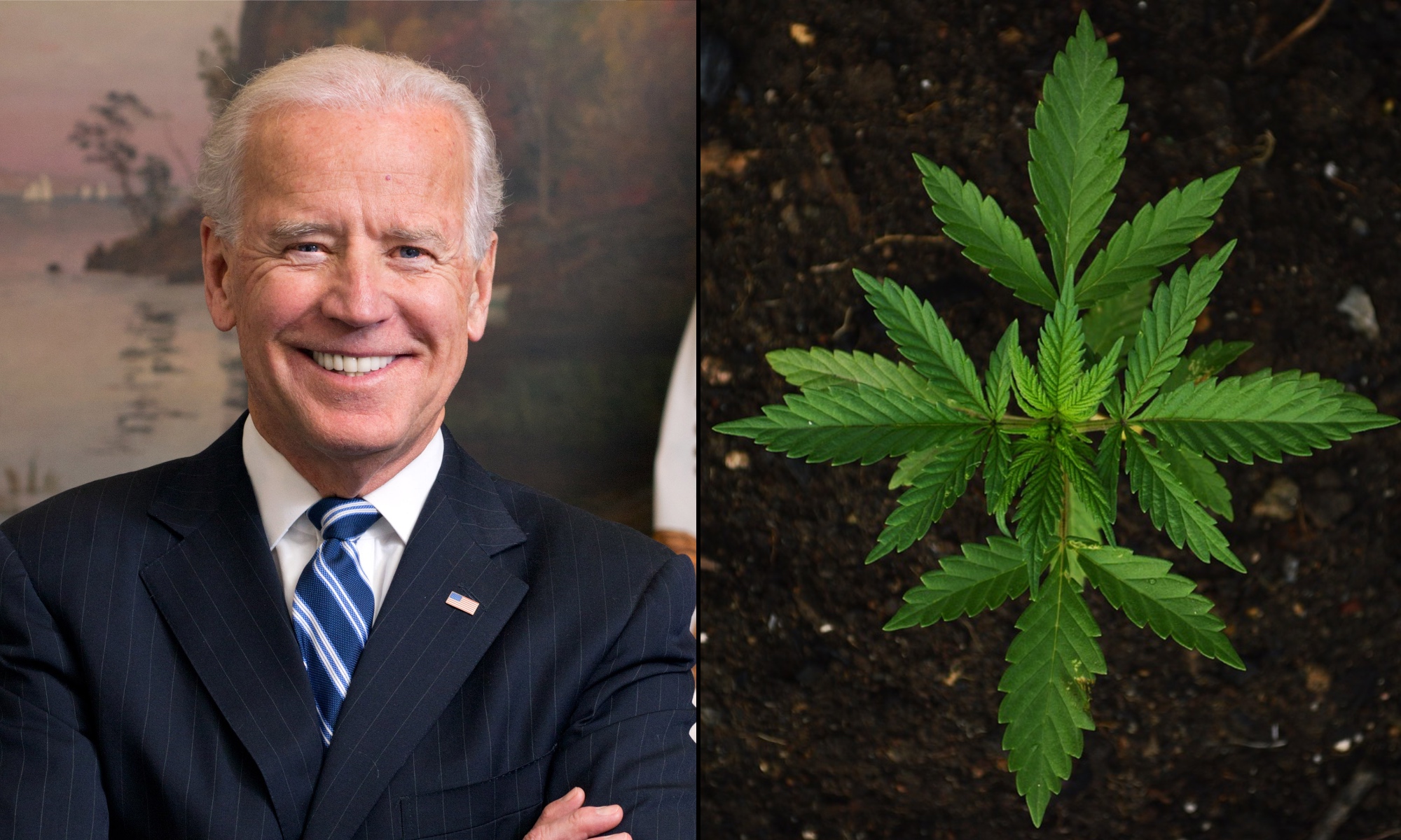 New Biden Budget Keeps Ban On D.C. Marijuana Sales But Preserves State Medical Cannabis Protections