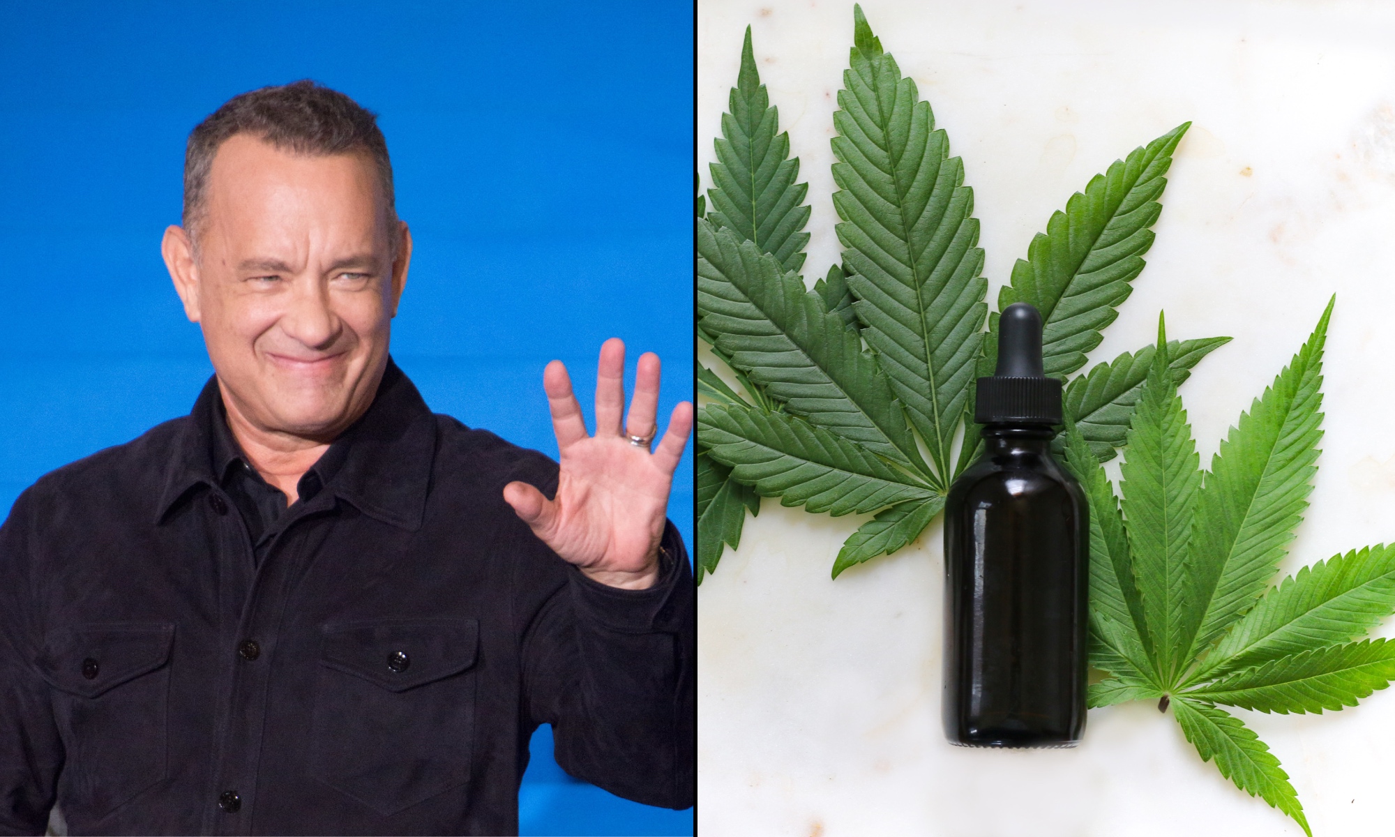 Tom Hanks Denies Fake Quote Promoting CBD Company - Marijuana Moment