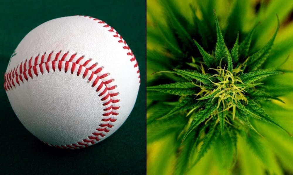 Partnership Cubs