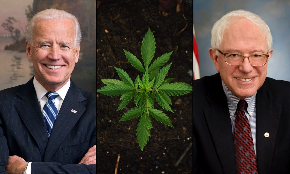 photo of Task Force Doesn’t Recommend Legalizing Marijuana To Biden, Despite Support From Panel Members image