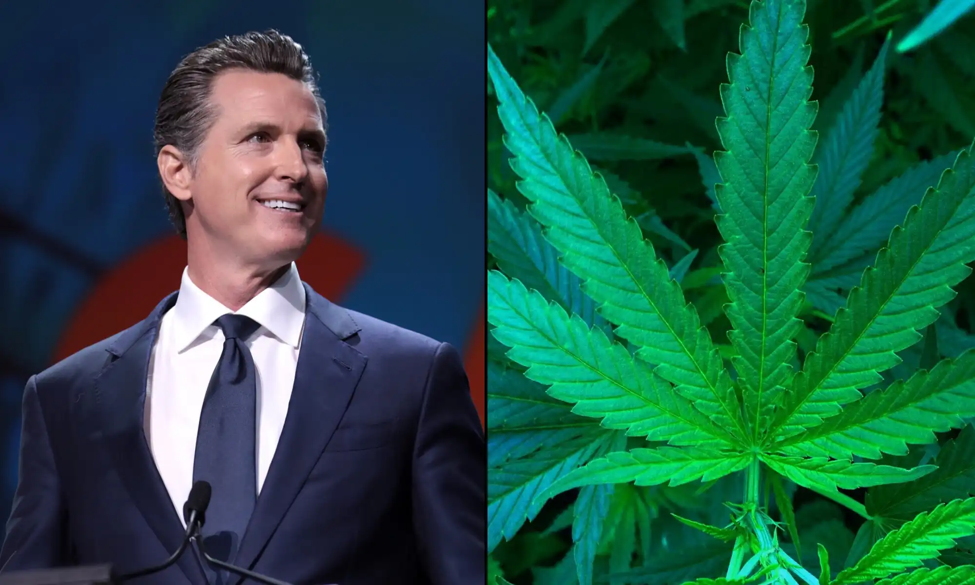 Newsom Takes Credit For Legalizing Marijuana In California And Discusses ‘Complicated’ Experience Smoking It At The Grand Canyon