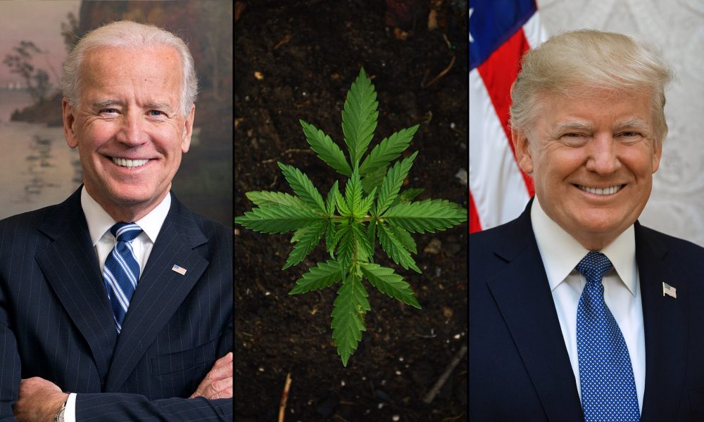 photo of Biden Talks Marijuana Decriminalization While Trump Promotes Criminal Justice Record At Dueling Town Halls image