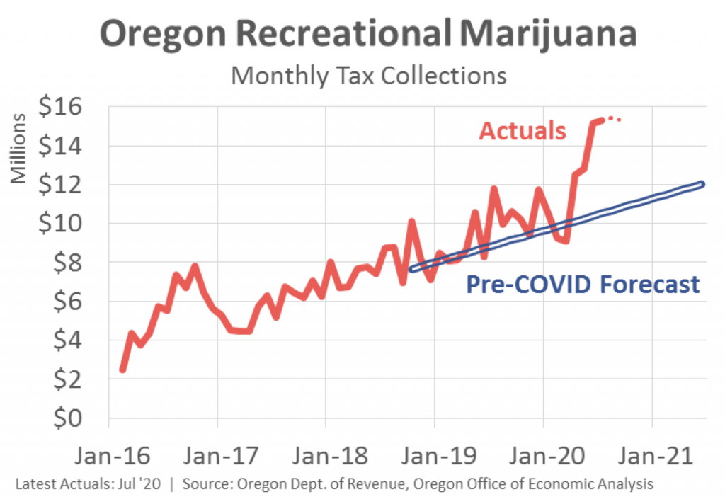 oregon marijuana tax revenue forecast