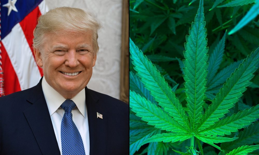 photo of Republican Lawmakers And Celebrities Push Trump To Free Marijuana Prisoners Before Leaving Office image
