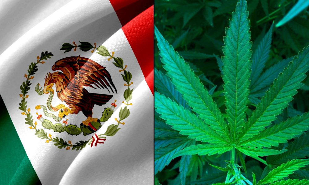 Mexican Senators Will Vote On Revised Marijuana Legalization Bill This Week