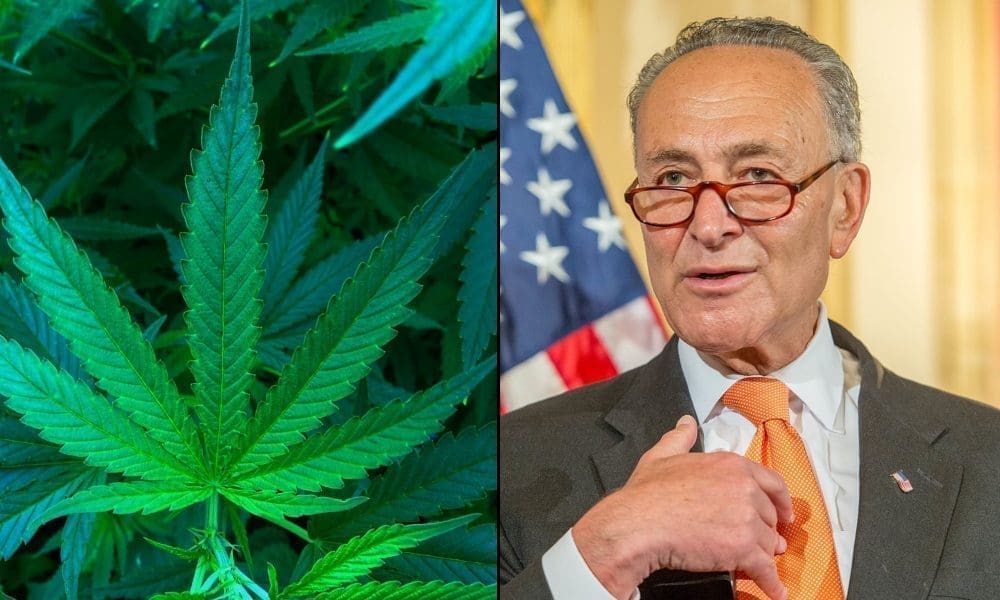 photo of Chuck Schumer Discusses Strategy For Getting Enough Votes To Pass Marijuana Legalization Bill image