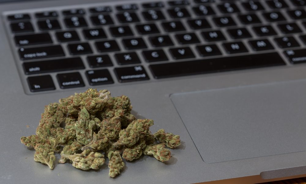 Researcher Employs Reddit To Master What Varieties Of Cannabis Posts Affected Legalization Attitudes