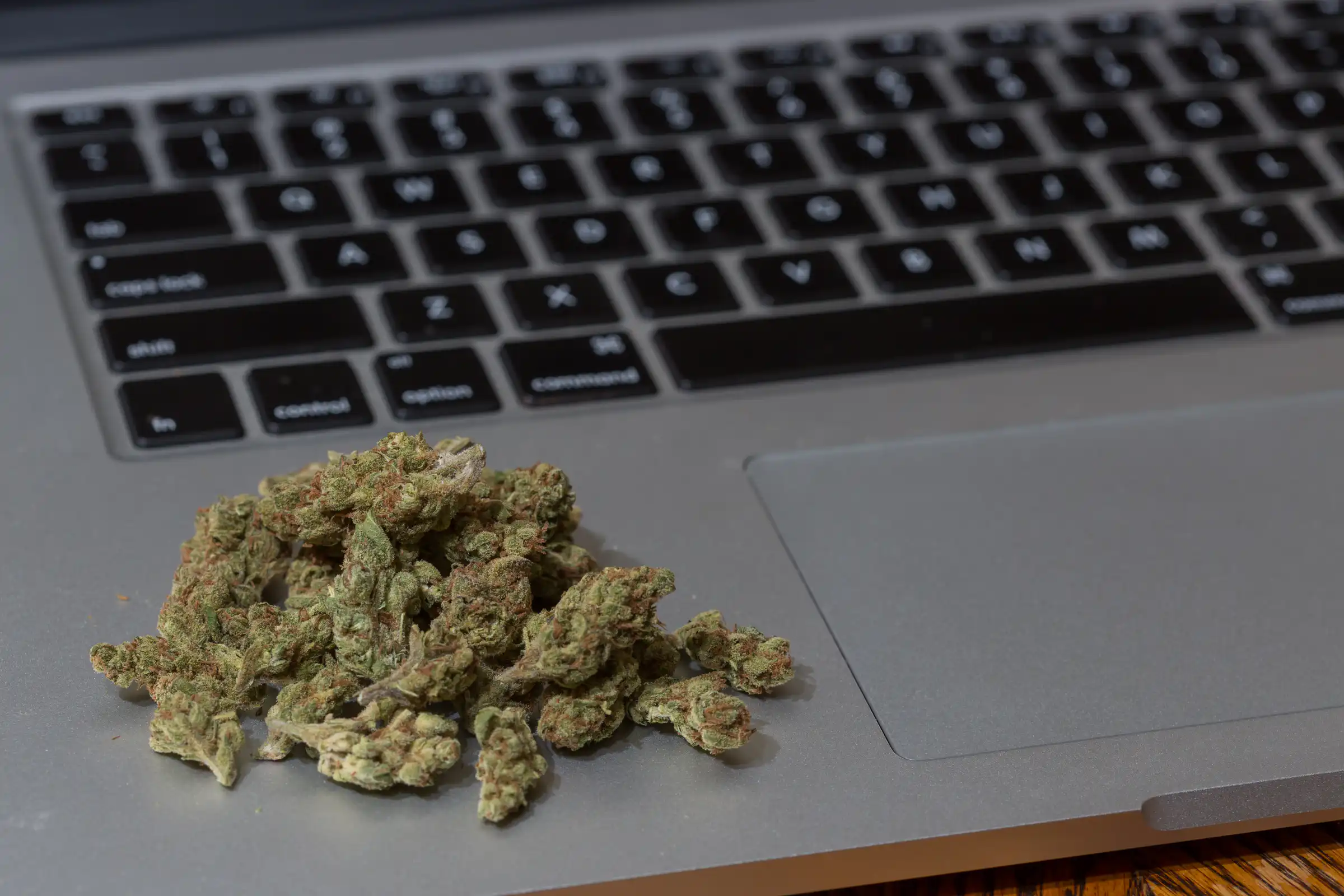 Congressional Lawmakers Approve Youth Safety Bill That Could Complicate Marijuana Businesses’ Online Outreach