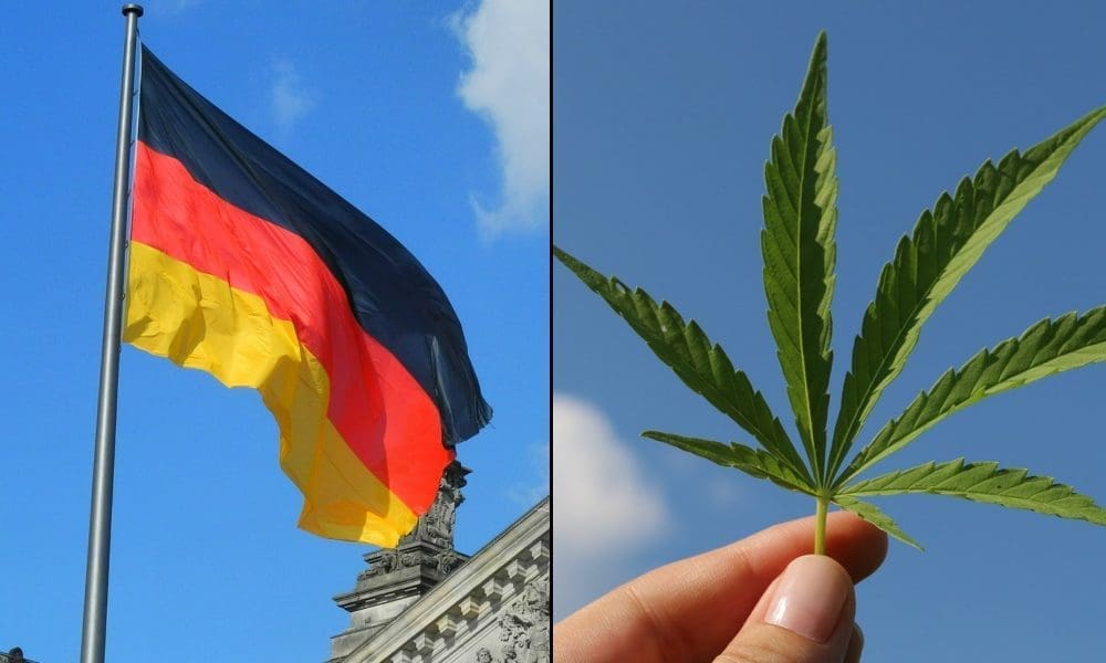 Germany’s Marijuana Legalization Bill Is Officially Signed Into Law And Will Take Effect On Monday