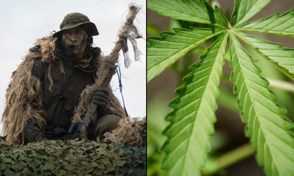 U.S. Army Wants To Make Sniper Uniforms Out Of Hemp