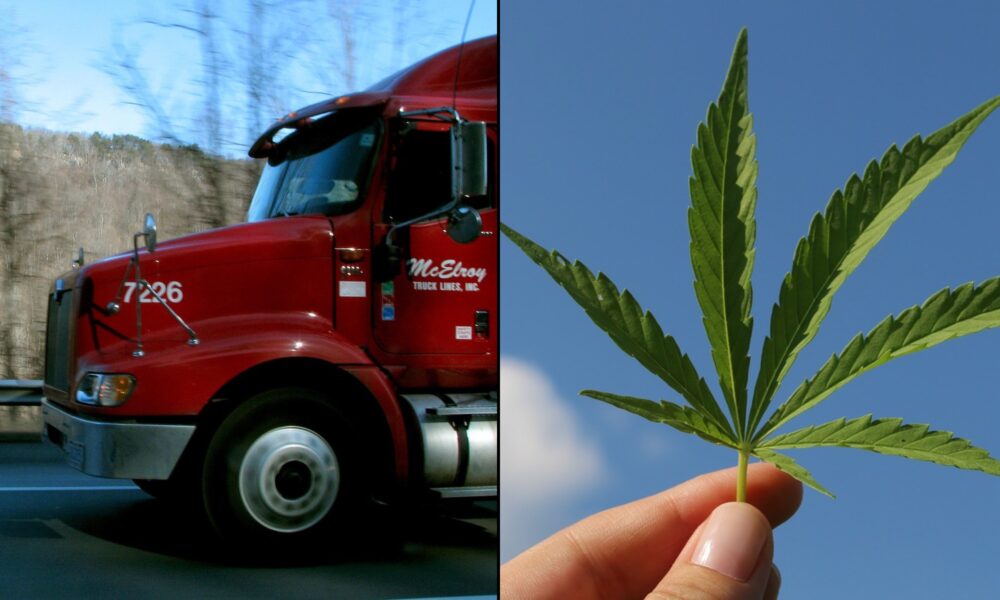 Transportation Department Proposes New CBD Guidance For Medical Examiners Certifying Commercial Drivers