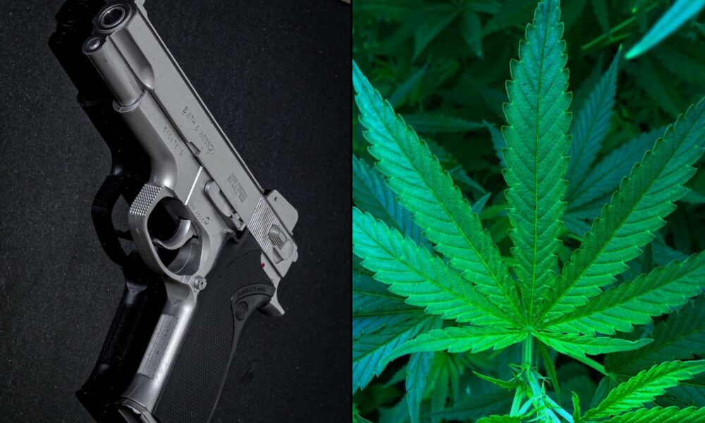 Supreme Court Weighs Whether Hemp Legalization Affects Gun Possession Mandatory Minimums For Man With Marijuana Convictions