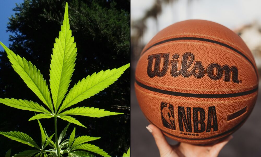 Brooklyn Nets And New York Liberty Become First NBA And WNBA Teams To Partner With CBD Company