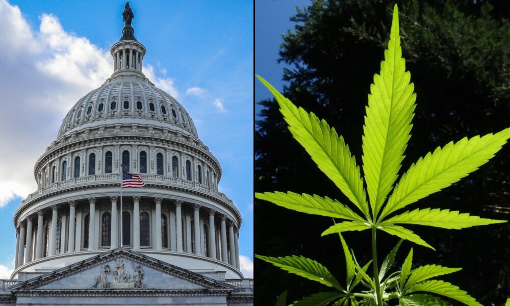 Republican Congressman Files New Bill To End Marijuana Prohibition In Legal States, Allow Interstate Commerce And Lift 280E Tax Blockade