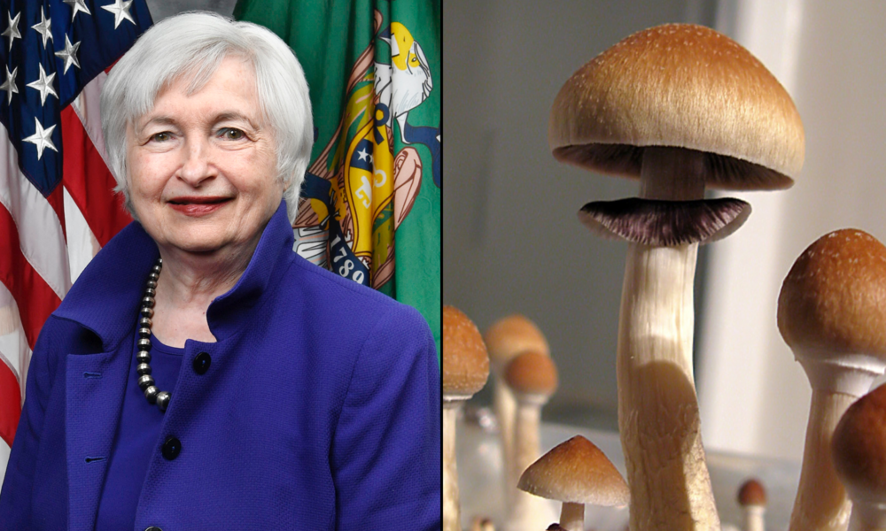 Treasury Secretary Yellen Says Magic Mushrooms She Ate In China Were ‘Delicious,’ But Didn’t Make Her Trip