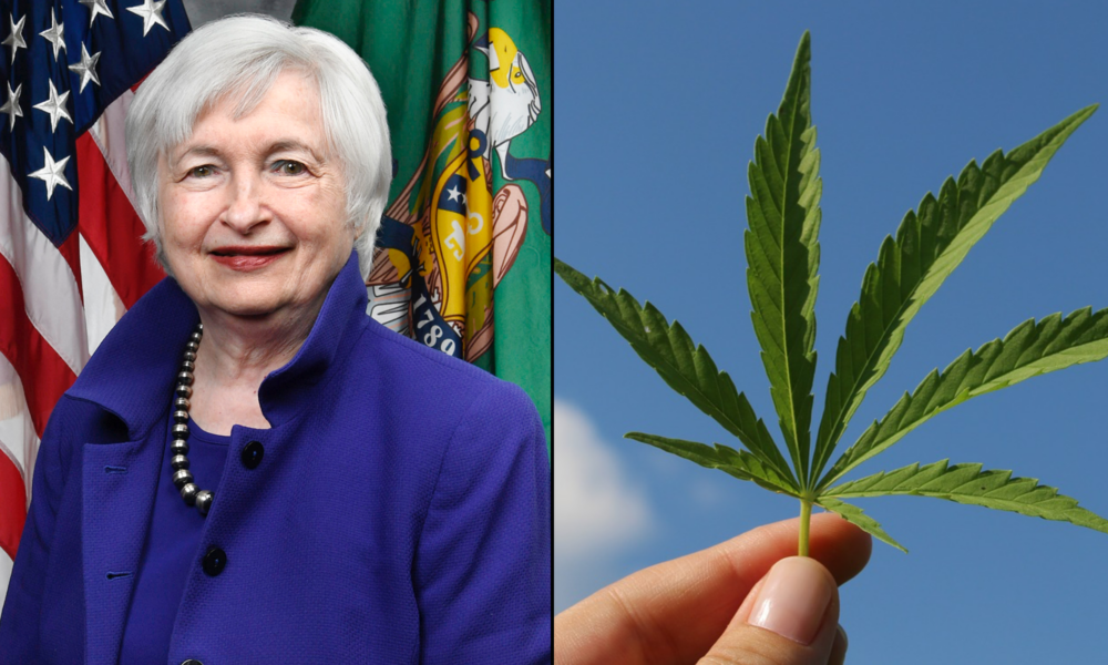 Treasury Secretary Yellen Says She Over-Prepared For First Time Using Marijuana And Jokes That It ‘Always Helps’ With Candy Crush