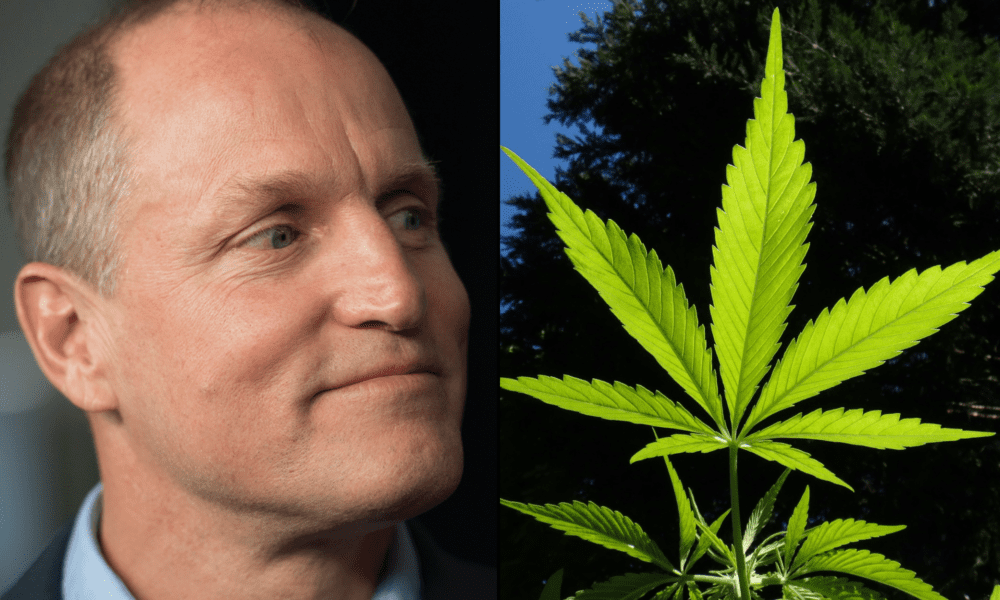 Bill Maher And Woody Harrelson’s Marijuana Dispensary Was Burglarized