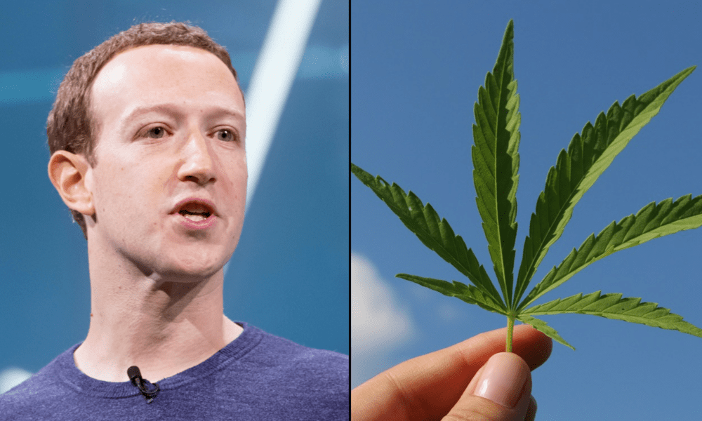 Facebook And Instagram Seem To Have Stopped Censoring Search Results For ‘Marijuana’ And ‘Cannabis’