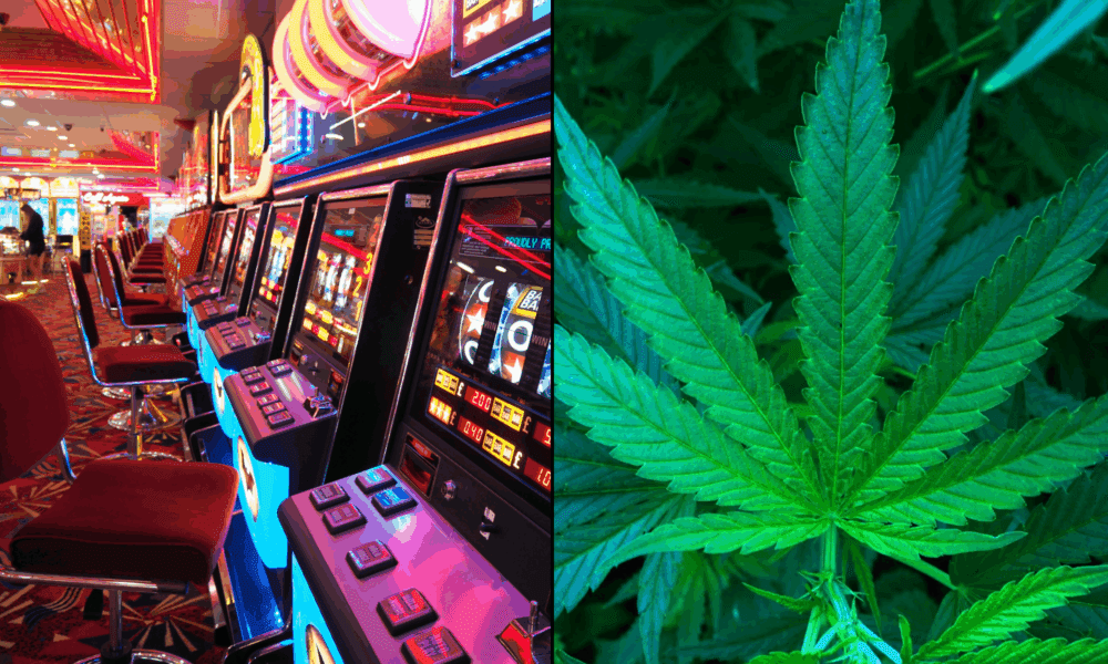 70 Percent Of Americans Support Allowing Marijuana Use At Casinos And Resorts, New Poll Shows