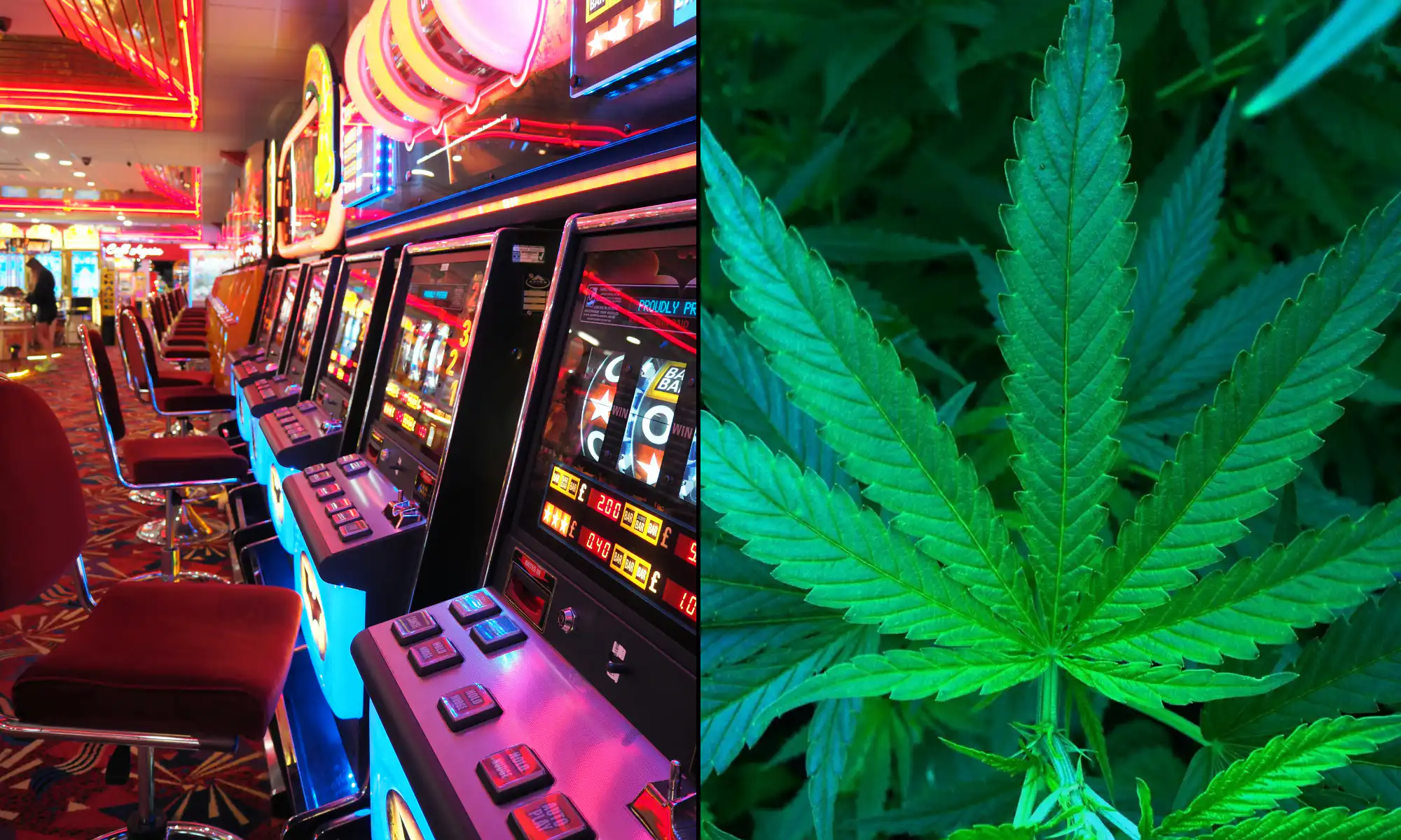 Nevada Is Losing Out On $80 Million In Annual Revenue By Separating The Marijuana And Gaming Industries, Report Finds