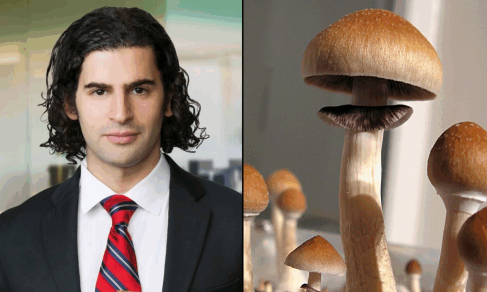 Lawyer Who Sued Federal Health Agency To Release Marijuana Documents Now Works There, With Focus On Psychedelics