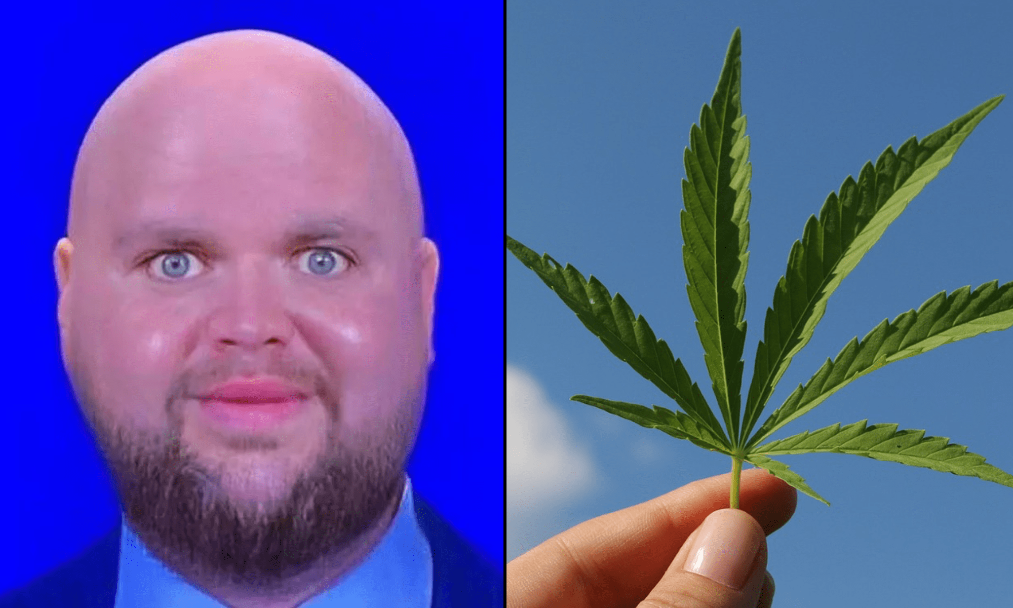 Feds Say Tourist Who Admitted To Prior Marijuana Use In Legal Places Was Denied Entry To US Over Drugs—Not Bald JD Vance Meme