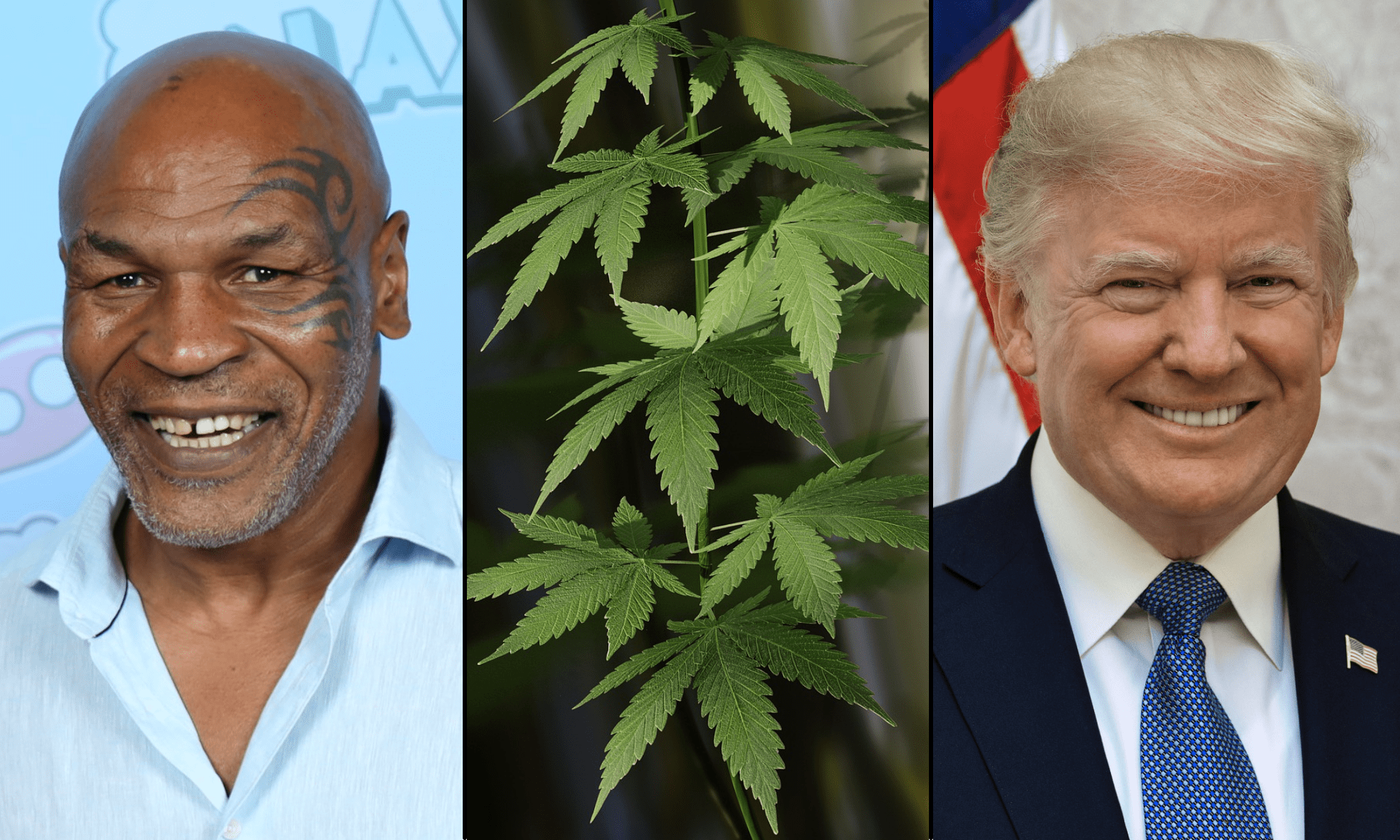 Mike Tyson Expects ‘Good News’ On Marijuana Rescheduling, He Says On Podcast Hosted By Top Trump Official’s Wife