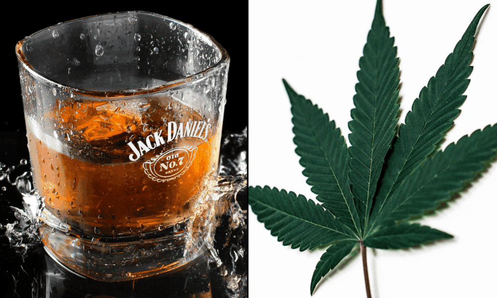 Marijuana Legalization Is Putting ‘Pressure’ On Alcohol Industry, CEO Of Jack Daniel’s Parent Company Says Amid Profit Losses