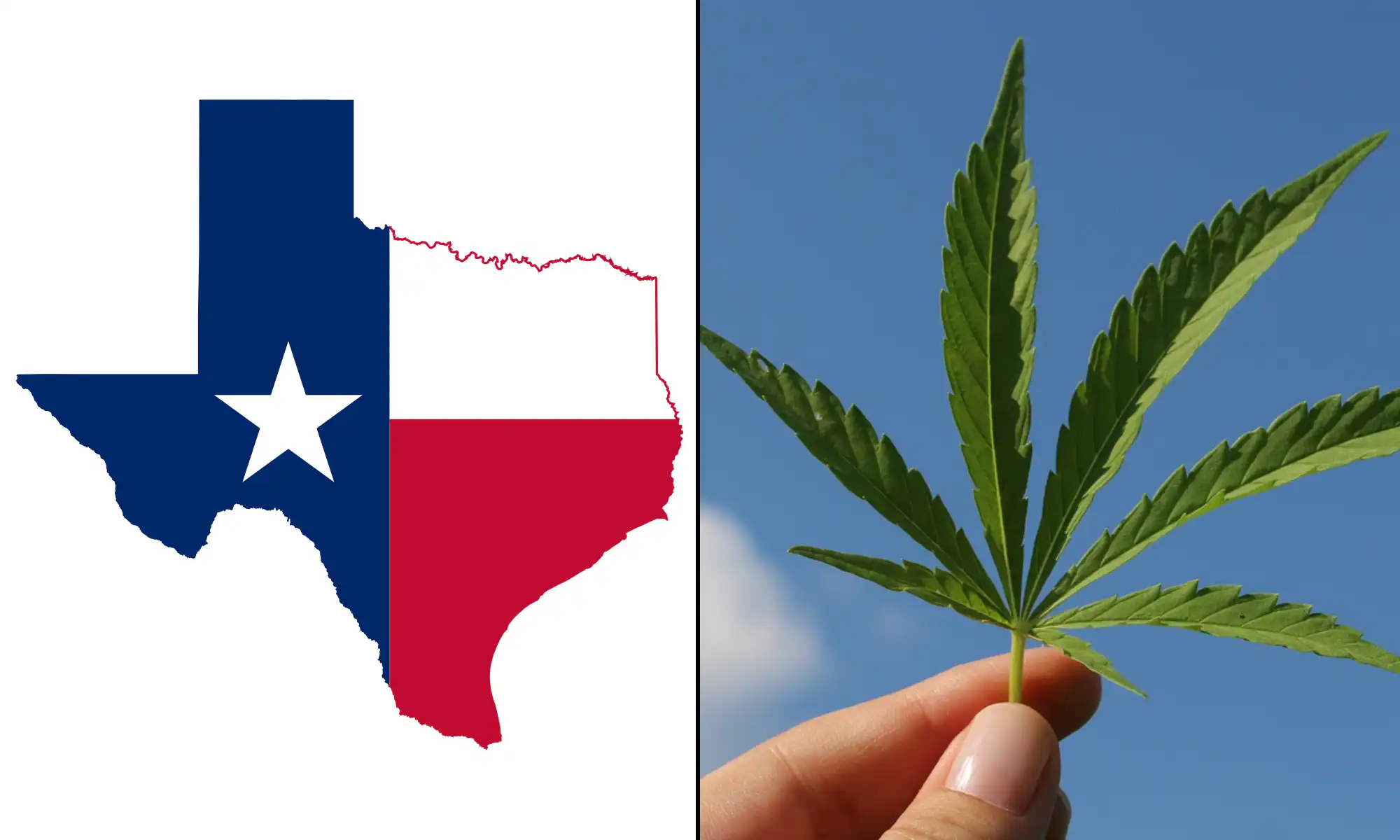 Texas Voters Disapprove Of How State Officials Are Handling Marijuana And THC Laws, Poll Shows